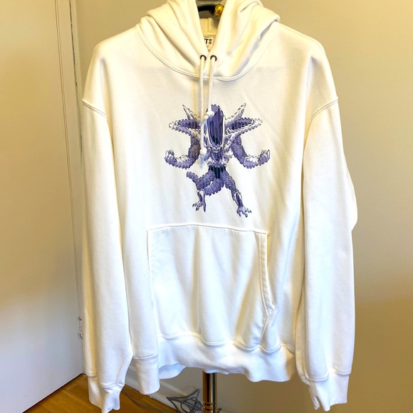 NWOT  Uniqlo brand Dragon Ball  hoodie size L - Picture 1 of 8